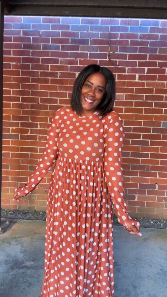 The Countryside Polka Dot Mesh Dress