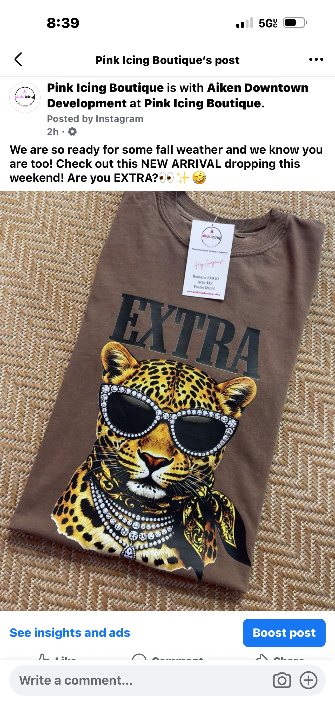 The New Arrivals Collection
