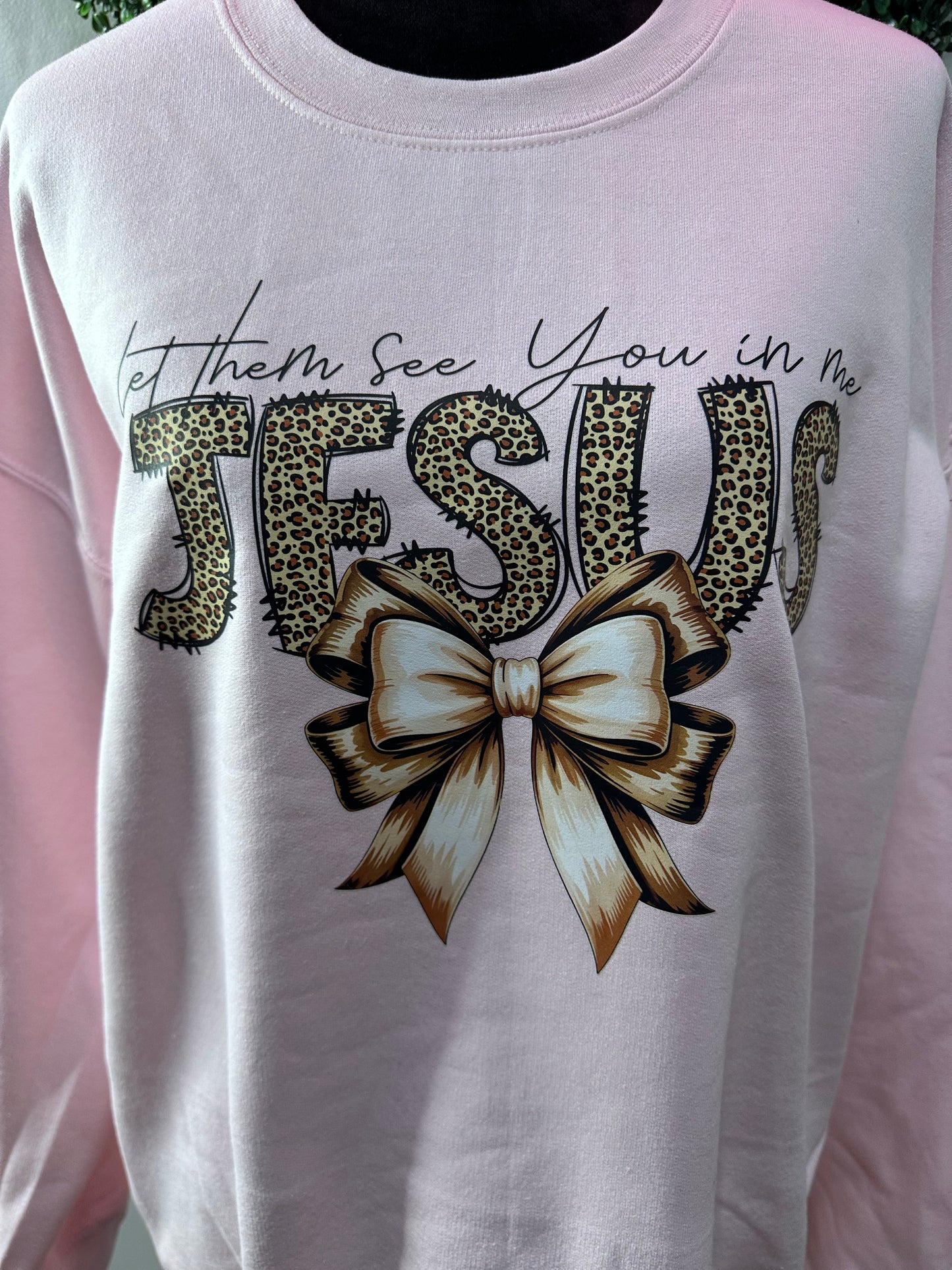 The Let Them See You In Me Sweatshirt